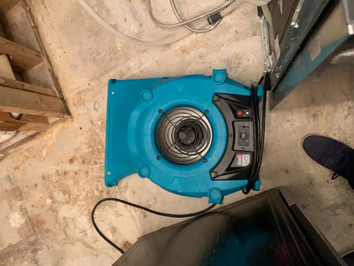 Air mover drying equipment for Mold Remediation & Removal in Mill Valley